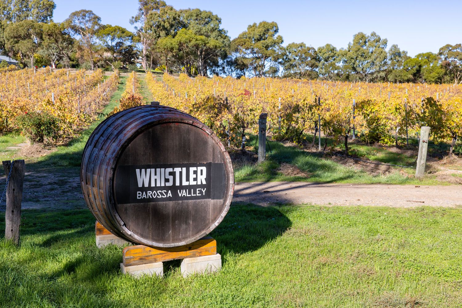 Whistler Wines