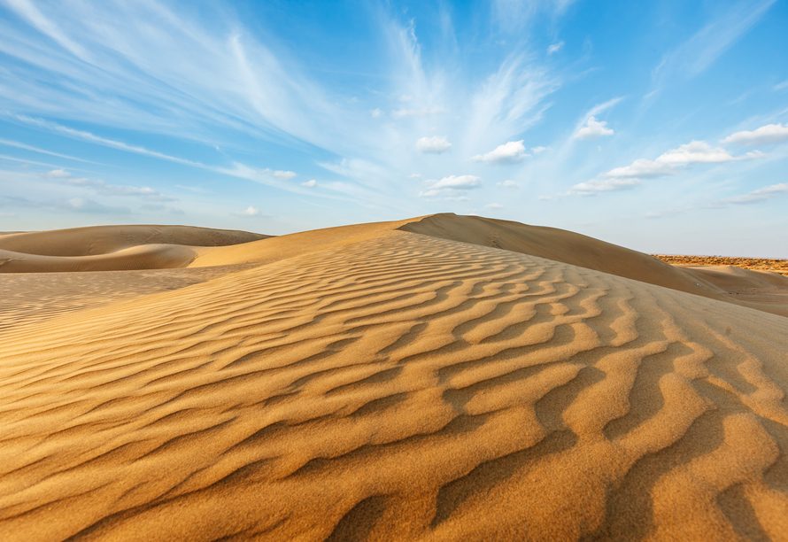 Dune Landscapes