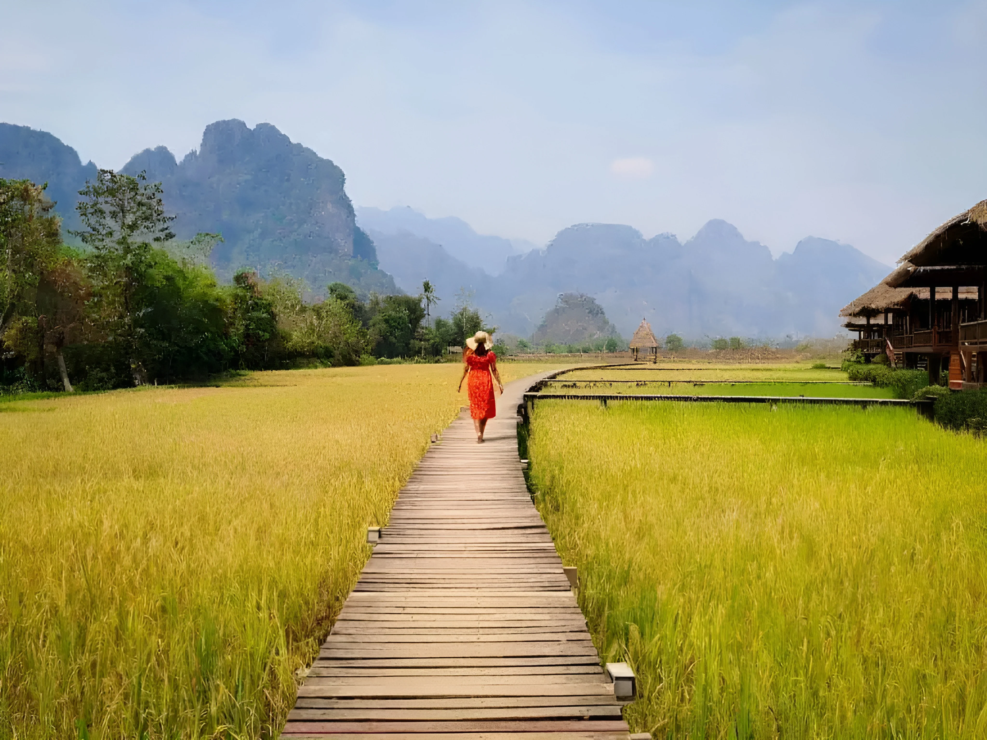 Rice Paddy Mosaic