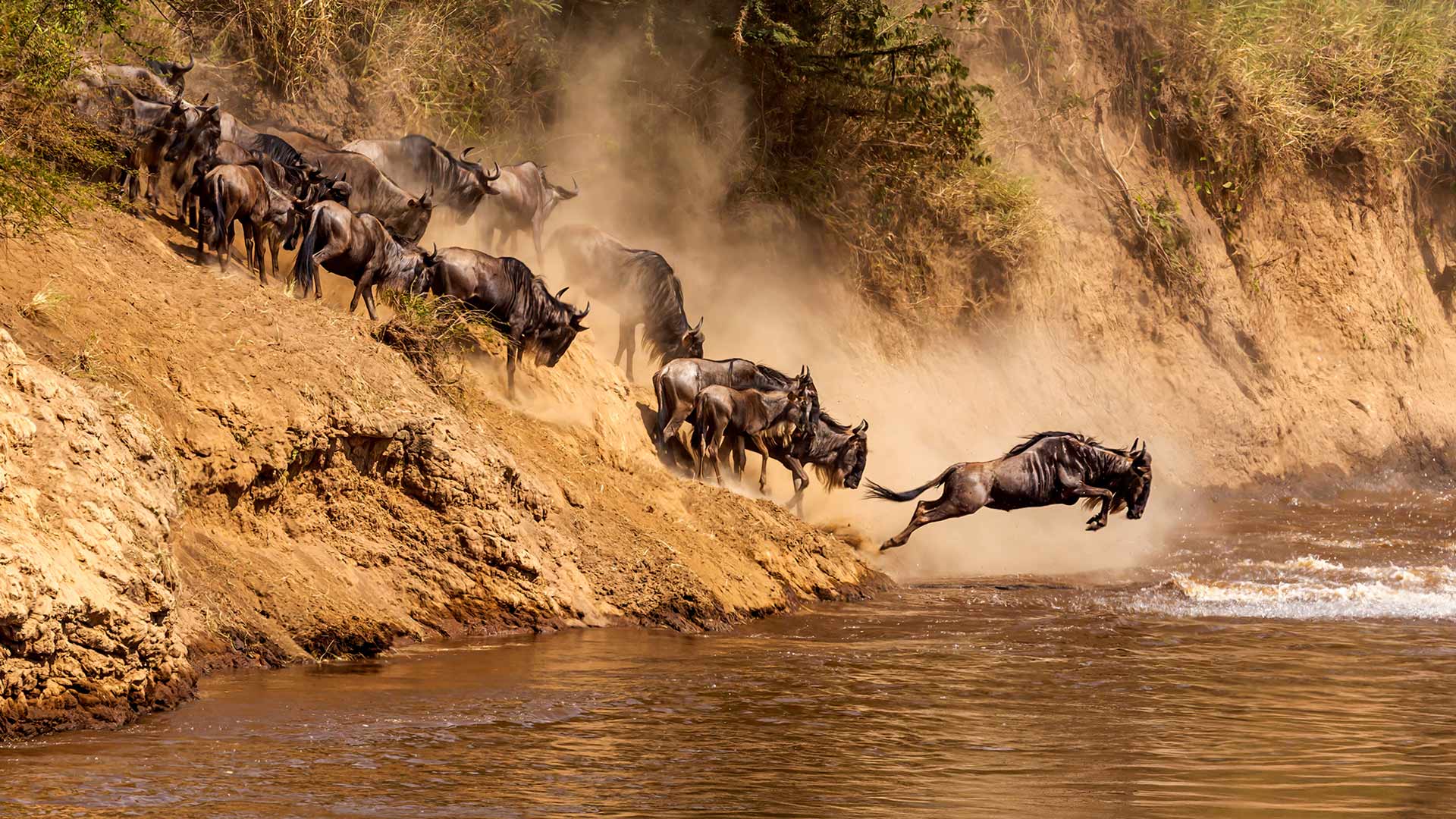 Mara River Crossing