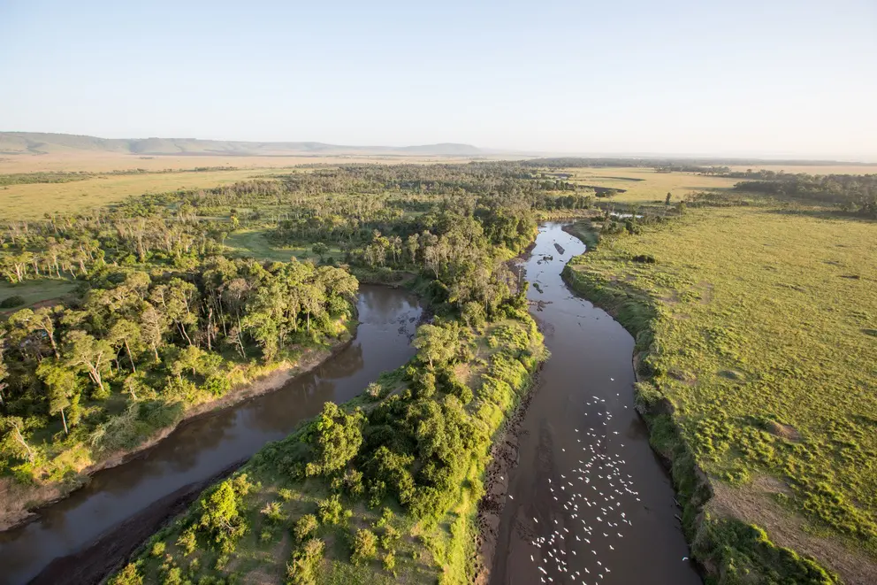 Mara River