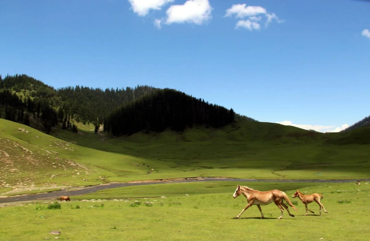Musariara Valley Overlook