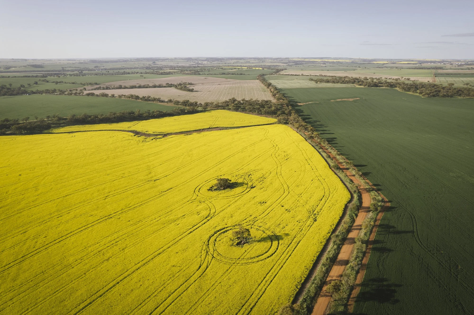 Rolling Farmland