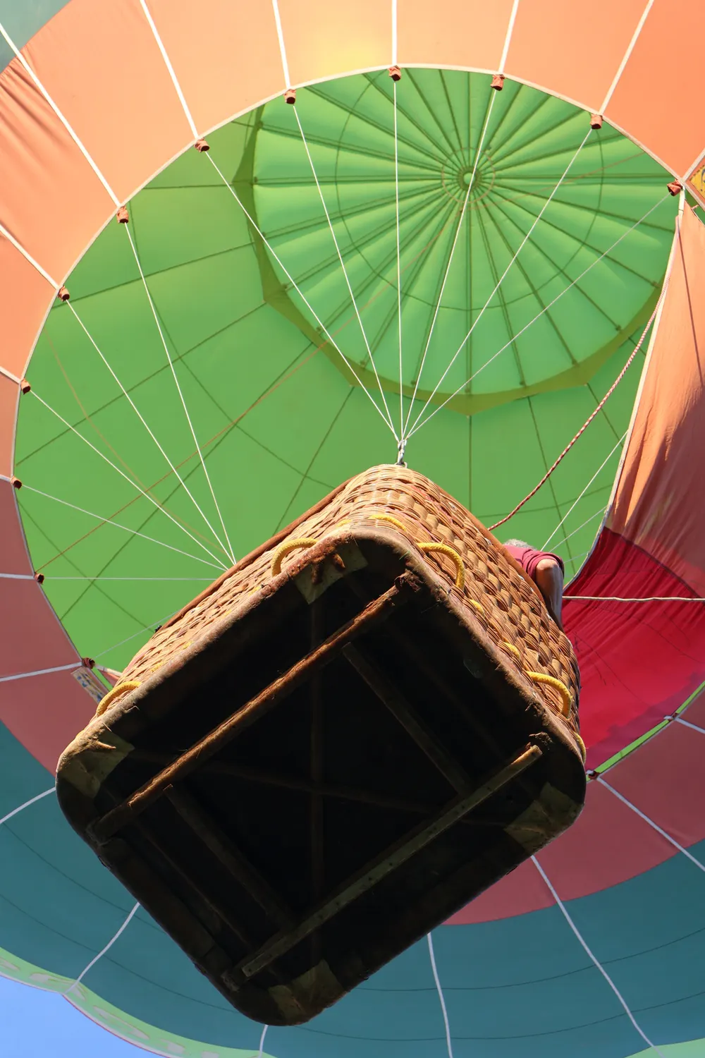 Basket Interior