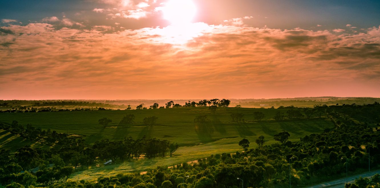 Wheatbelt Horizon