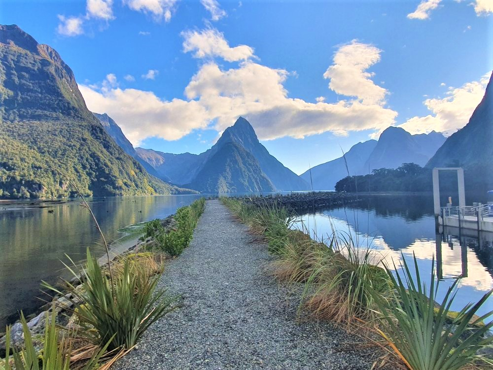 Milford Sound Foreshore Walk