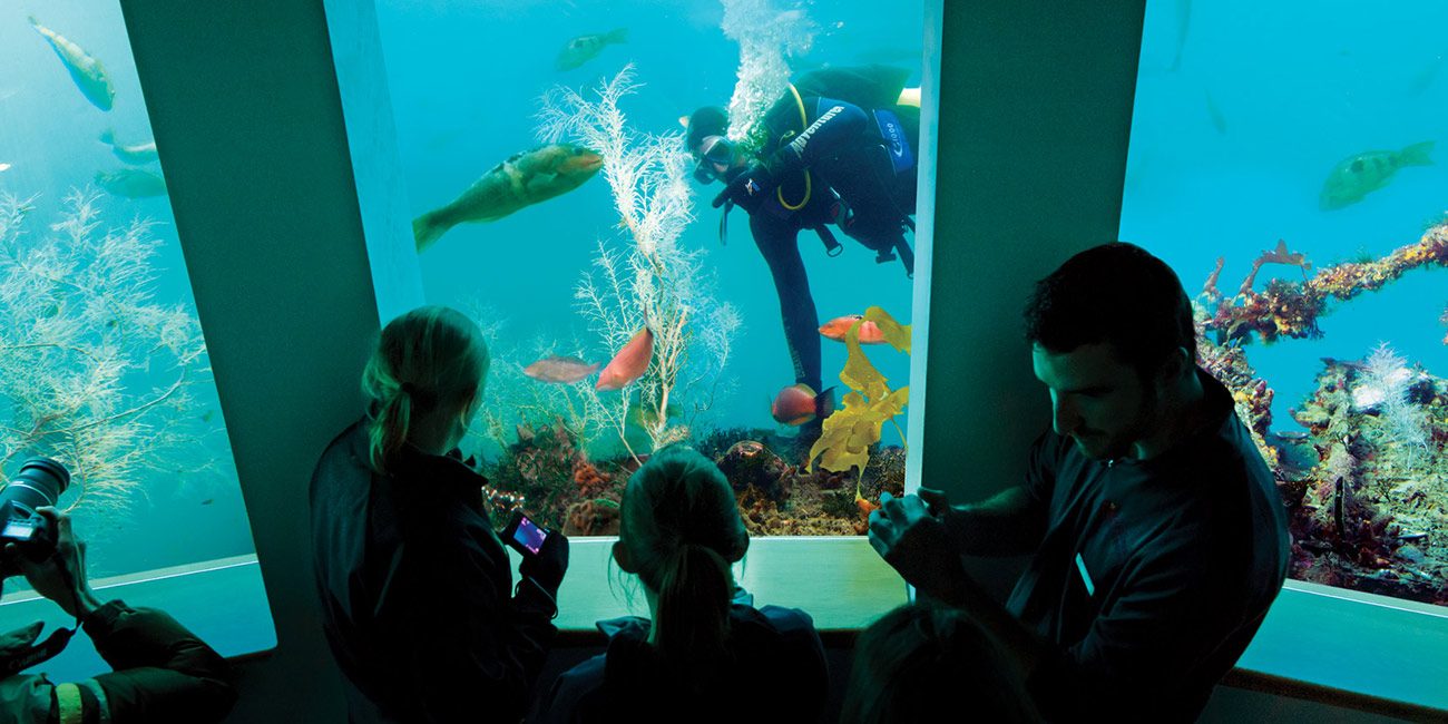 Milford Discovery Centre and Underwater Observatory