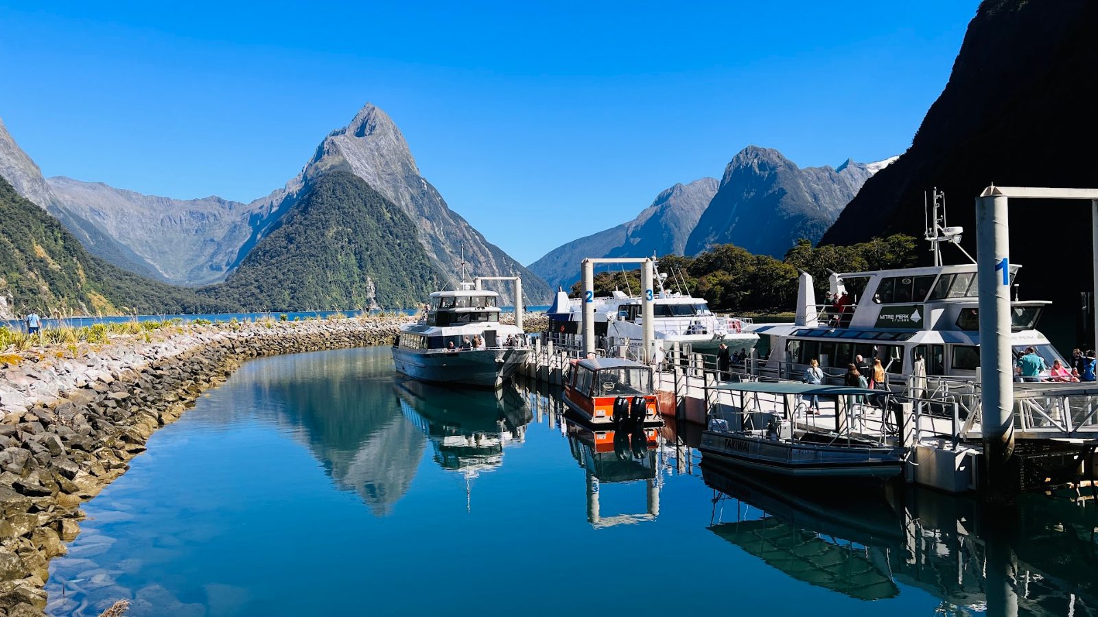 Milford Sound Visitor Terminal