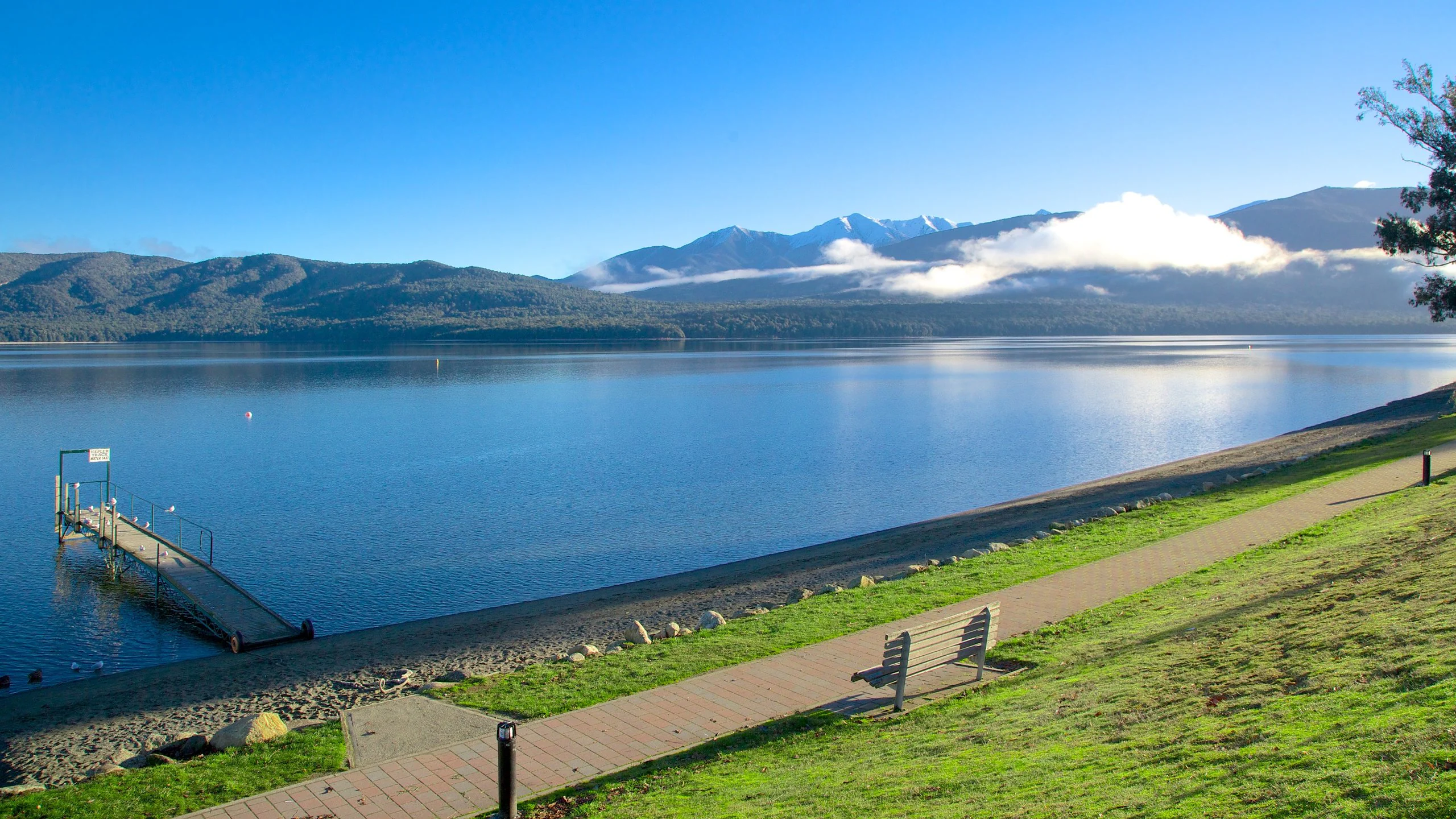 Te Anau township