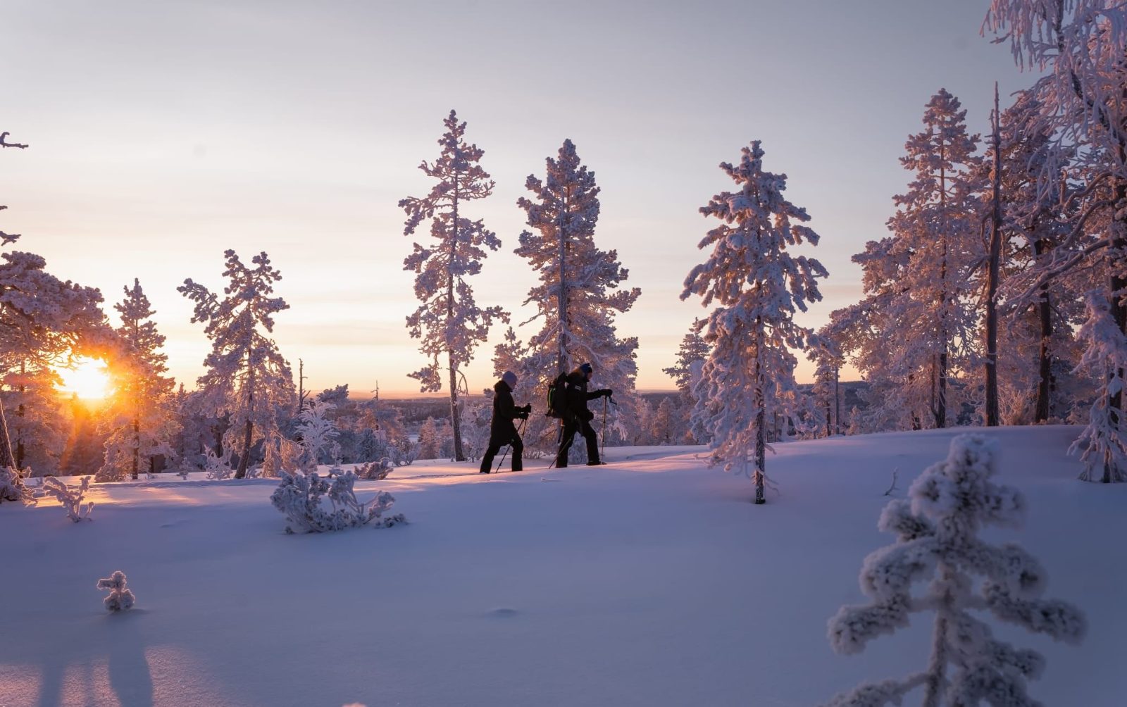 Arctic Wilderness Trails