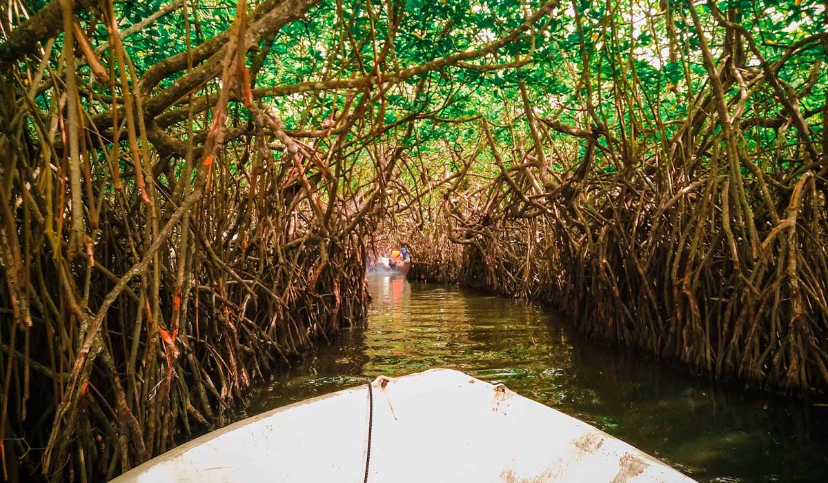 Pottuvil Lagoon Safari