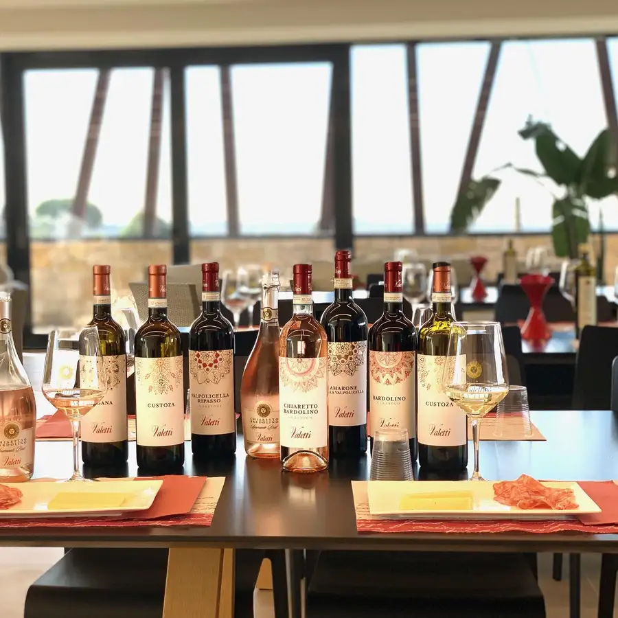 Bardolino Wine Tasting