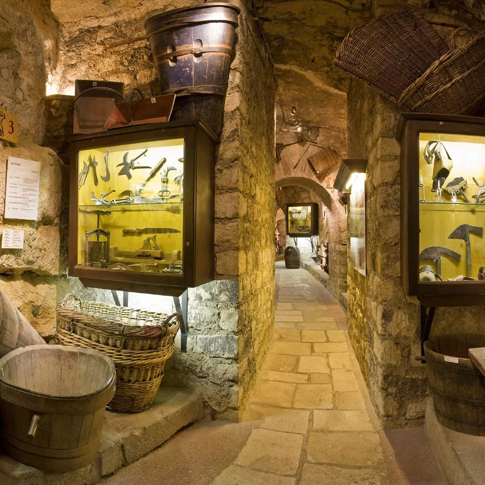 Museum Entry
