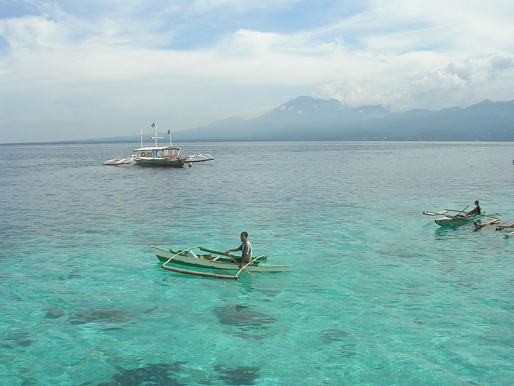 Tañon Strait Dolphin Habitat