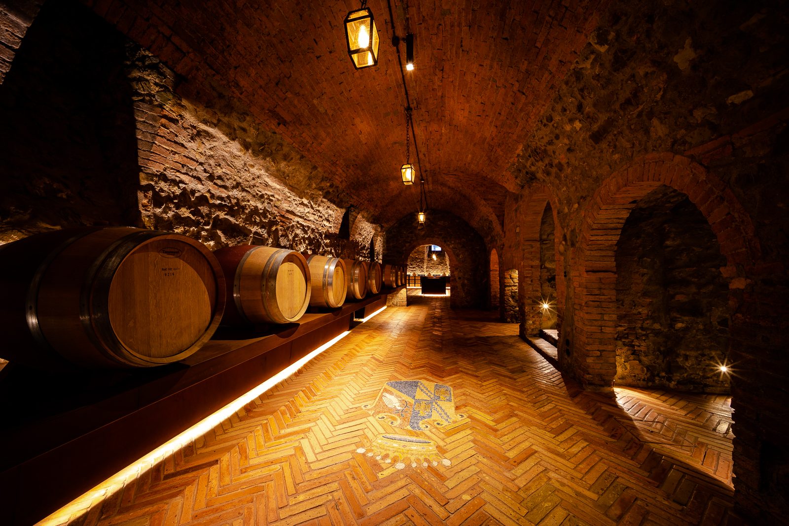 Bolgheri Wine Tours