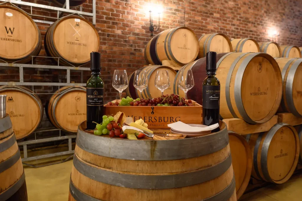 Silves Wine Tour