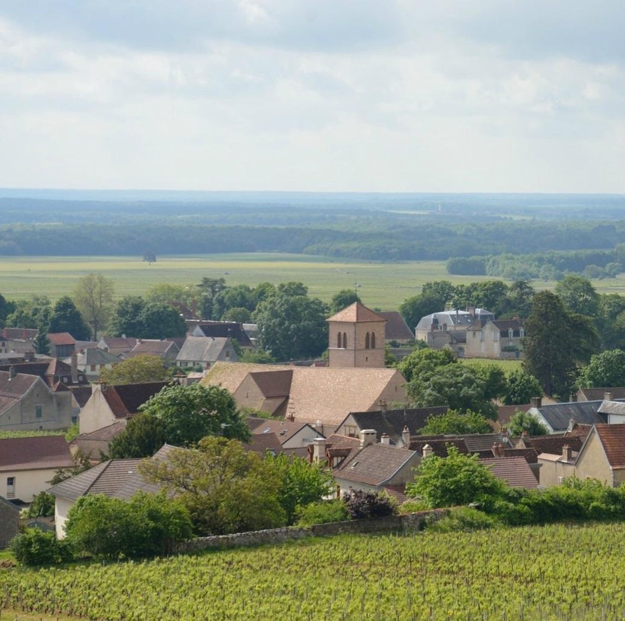 Gevrey-Chambertin
