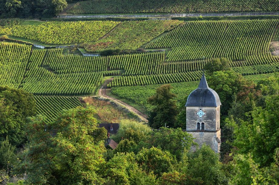 Chambolle-Musigny