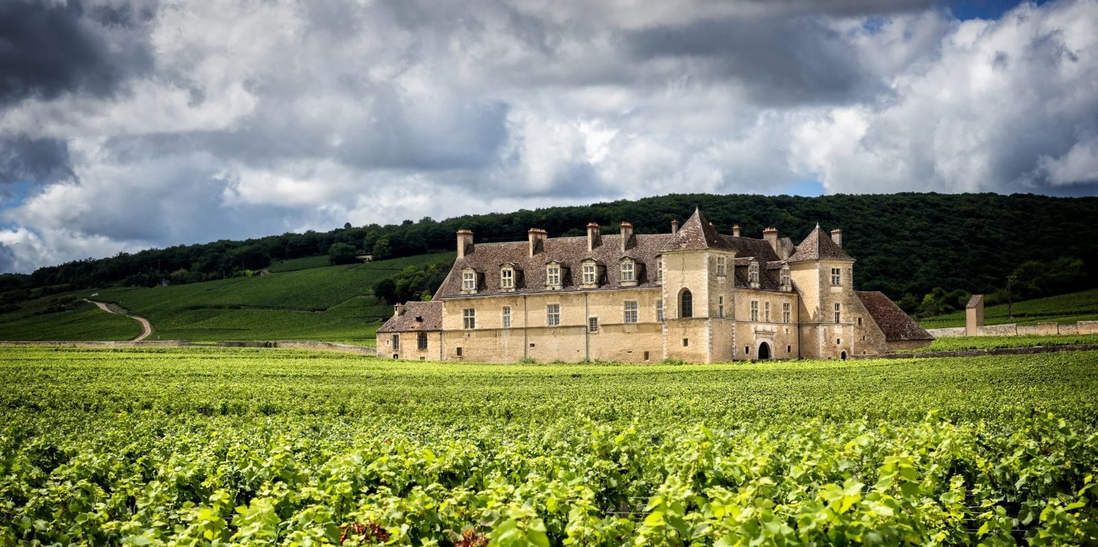 Clos de Vougeot