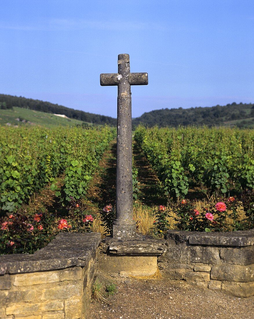 La Tâche