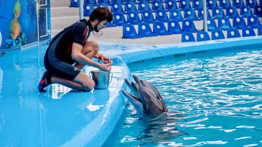 Marine Life Encounter