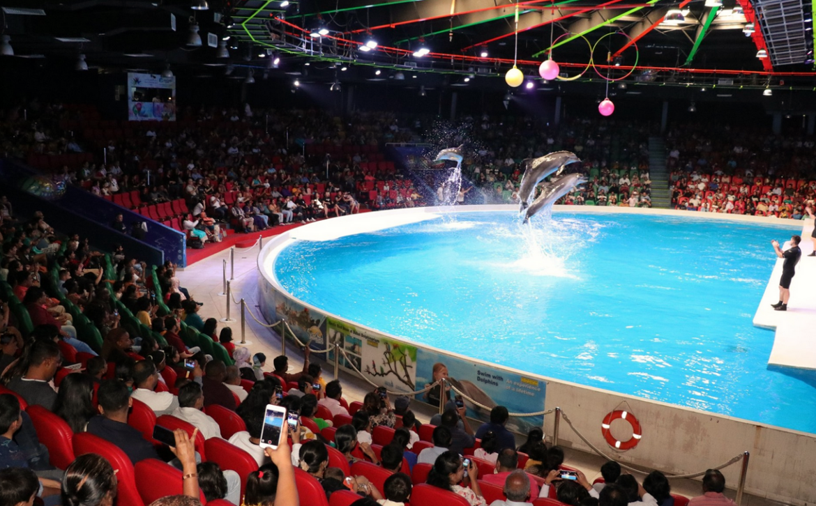 Main Show Arena