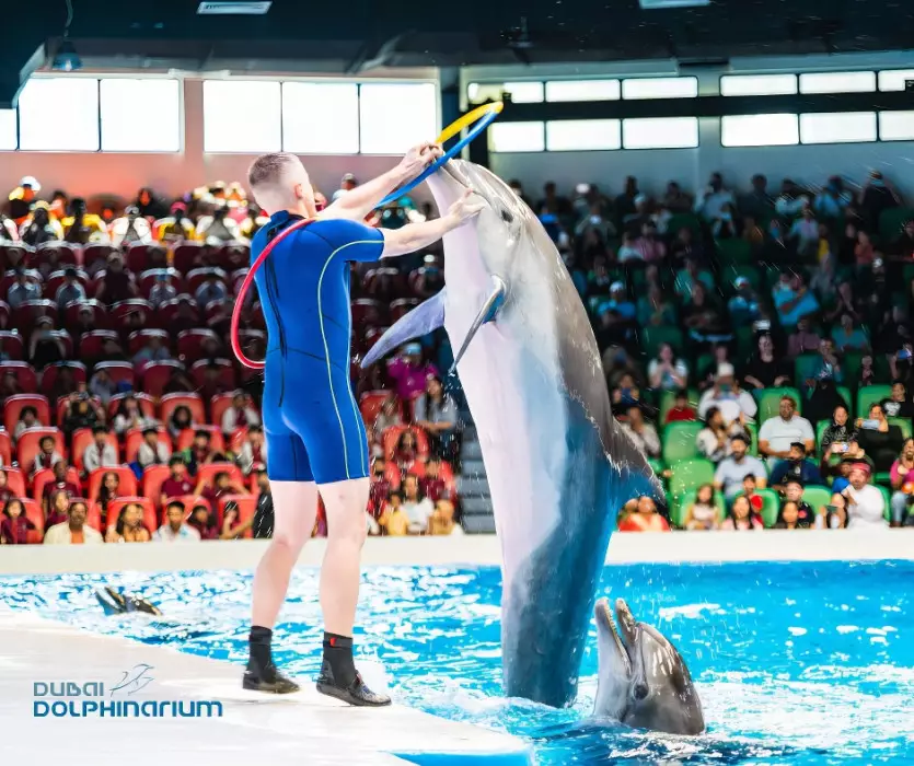 Educational Exhibits