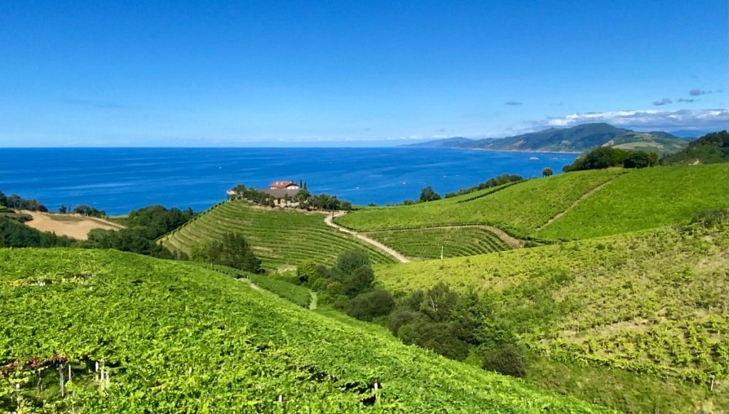 Txakoli Vineyards Terrace