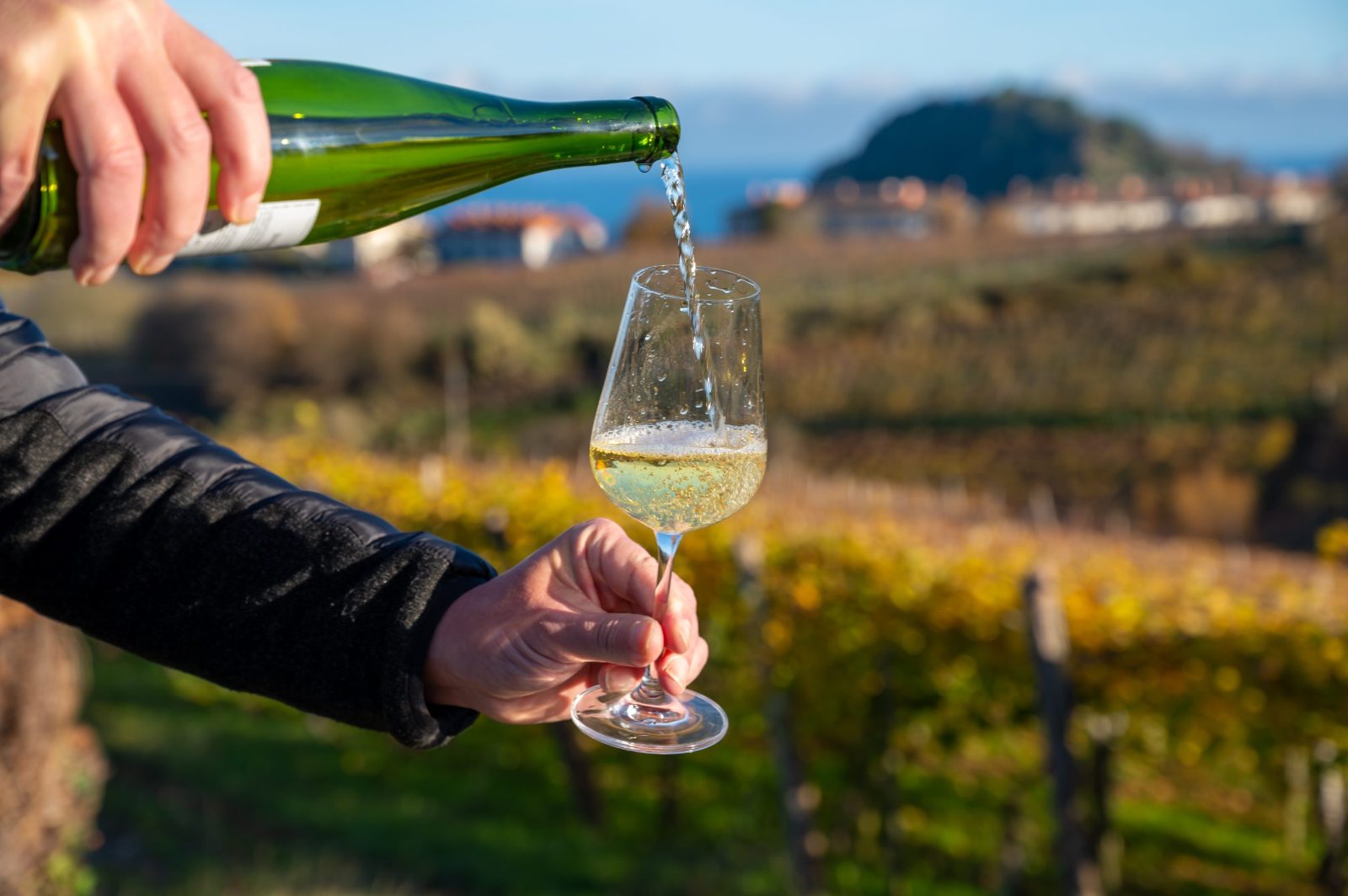 Txakoli Wine Tasting San Sebastian