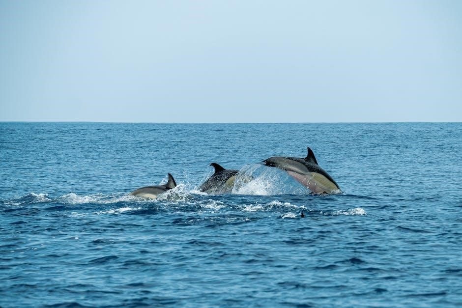 Saboga Island Waters