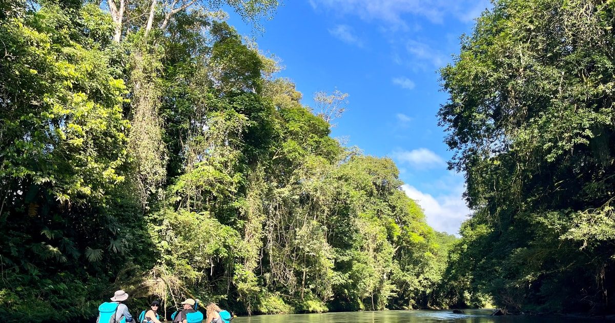 Tropical Canopy Overhang