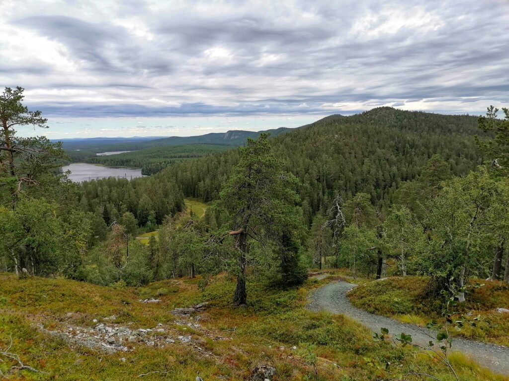 Arctic Fell Landscapes