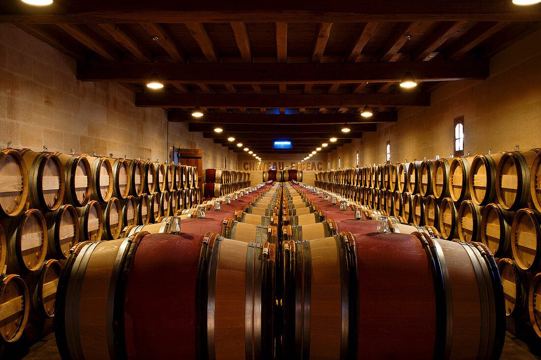 Barrique Cellar