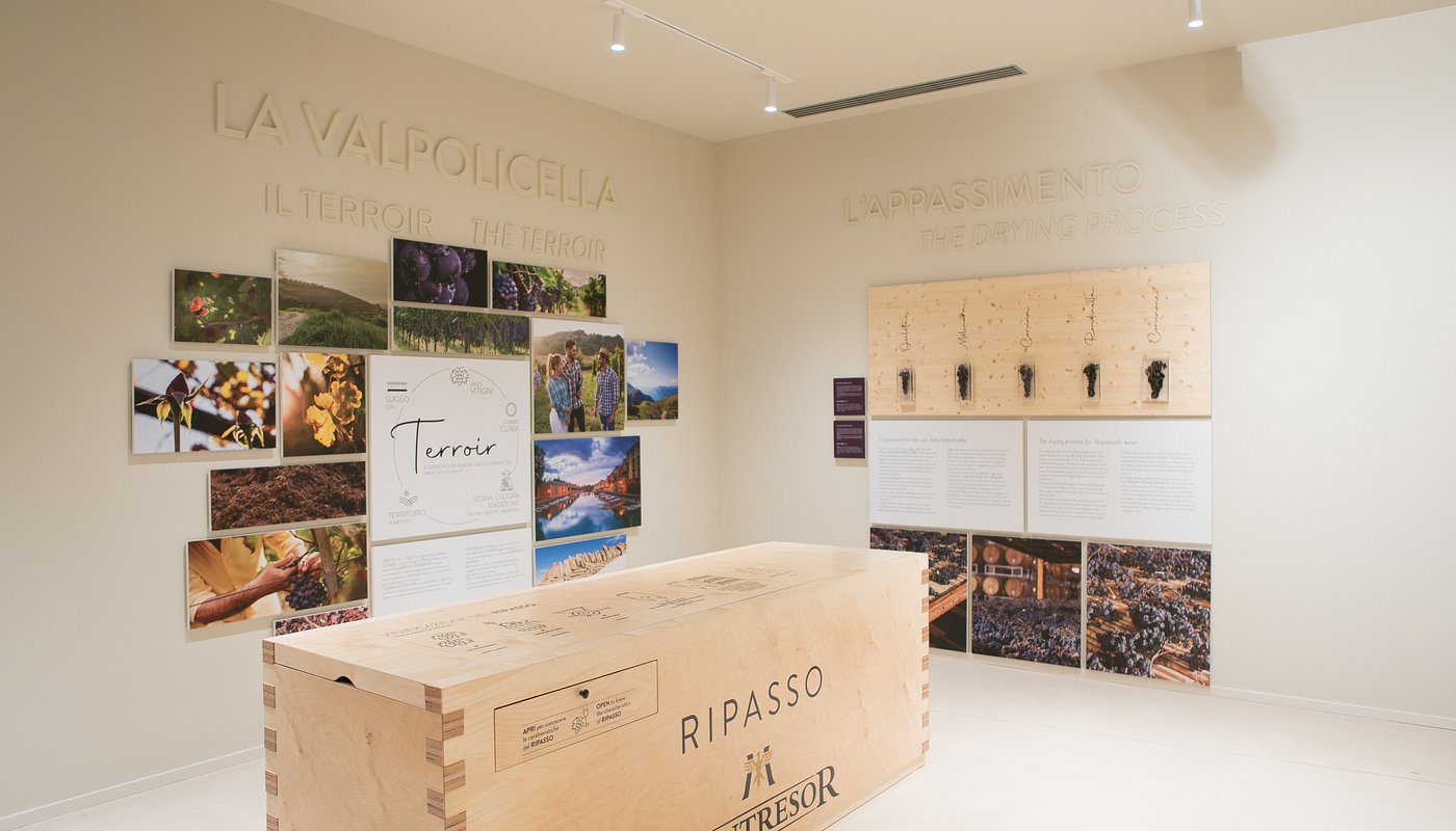 Vineyard Display Corner