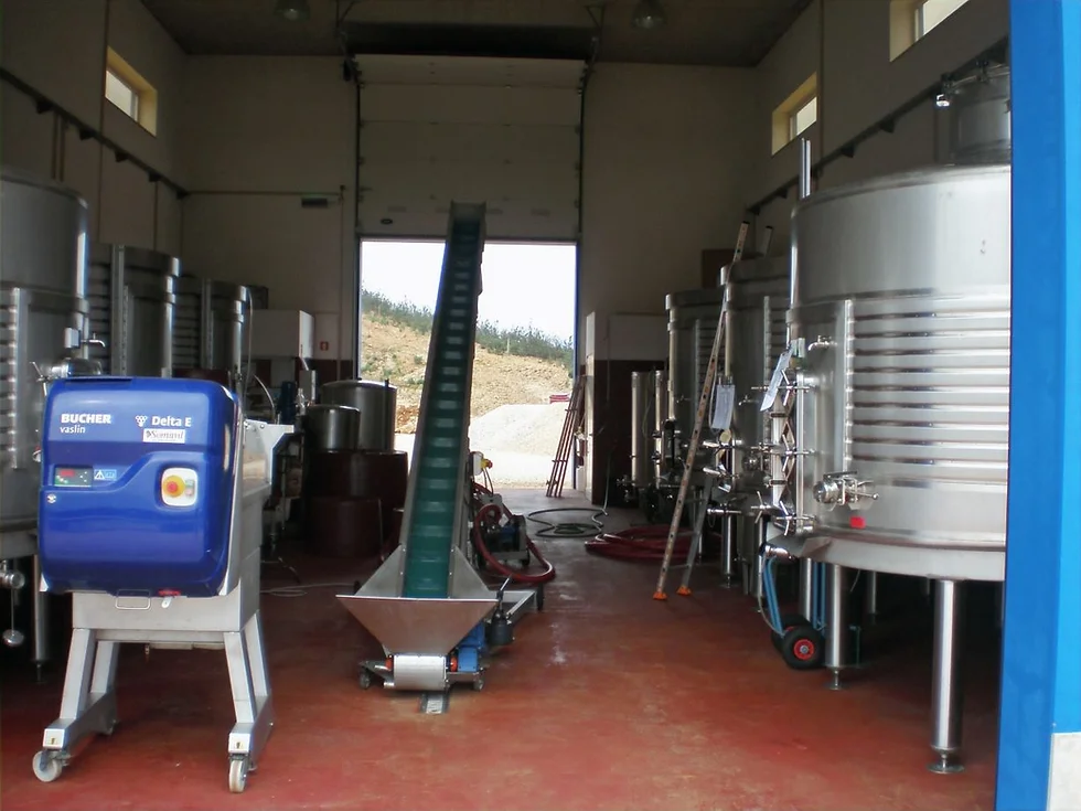 Fermentation Hall
