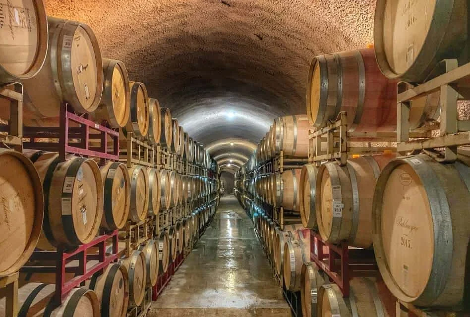 Bolgheri Wine Tasting Tour