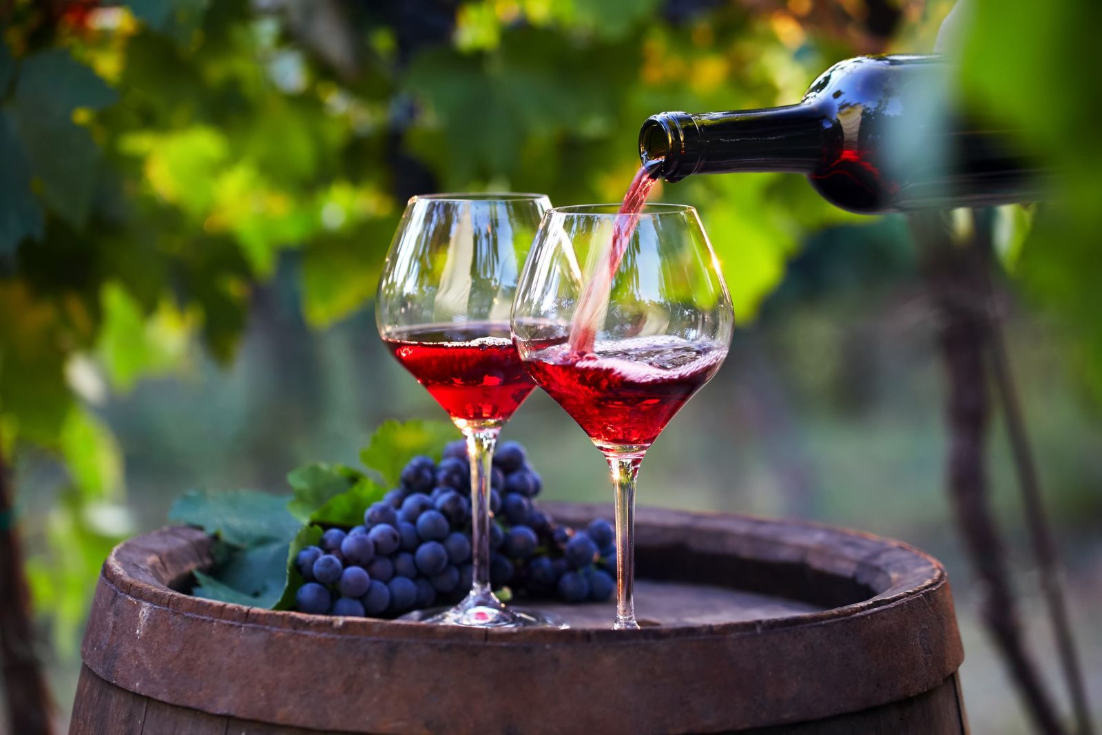 Silves Wine Tasting Tour