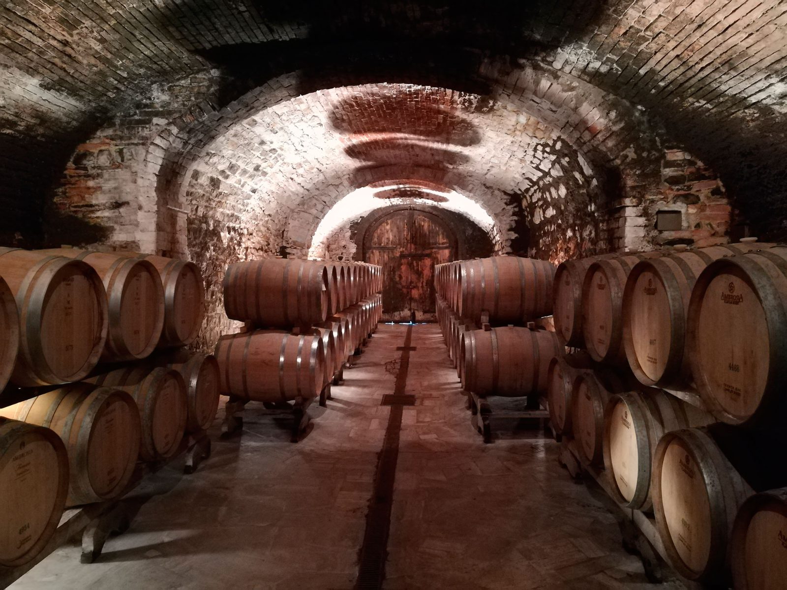 Bolgheri Wine Tour From Florence
