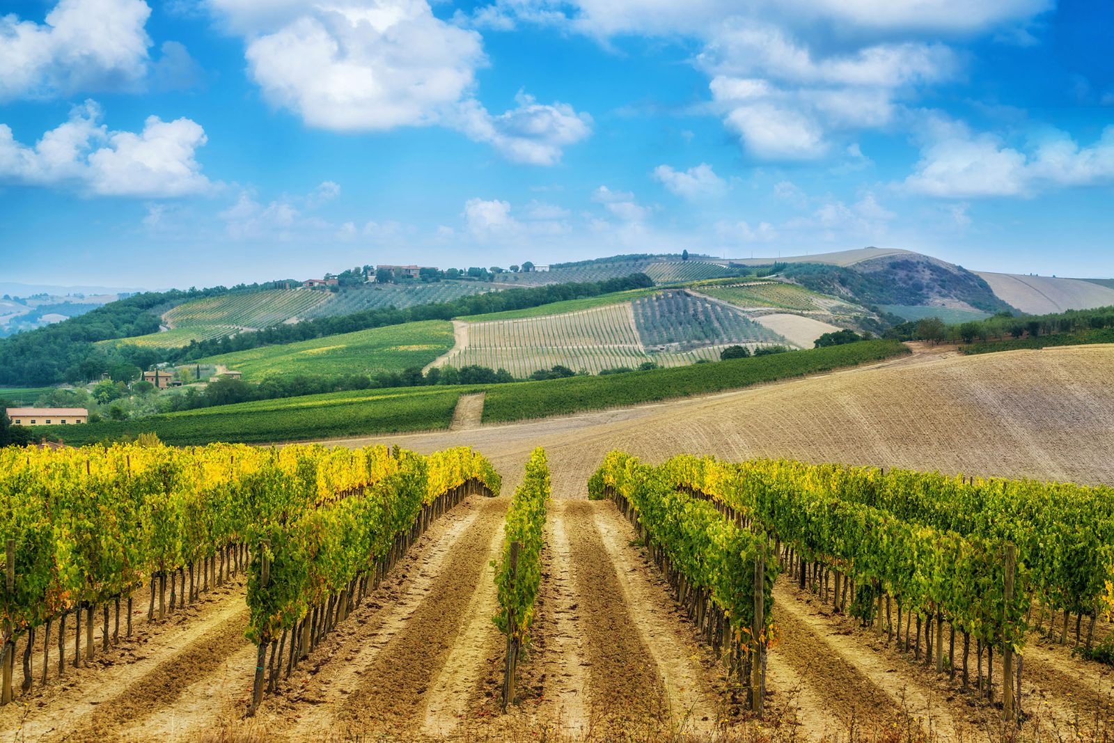 Winery Visit