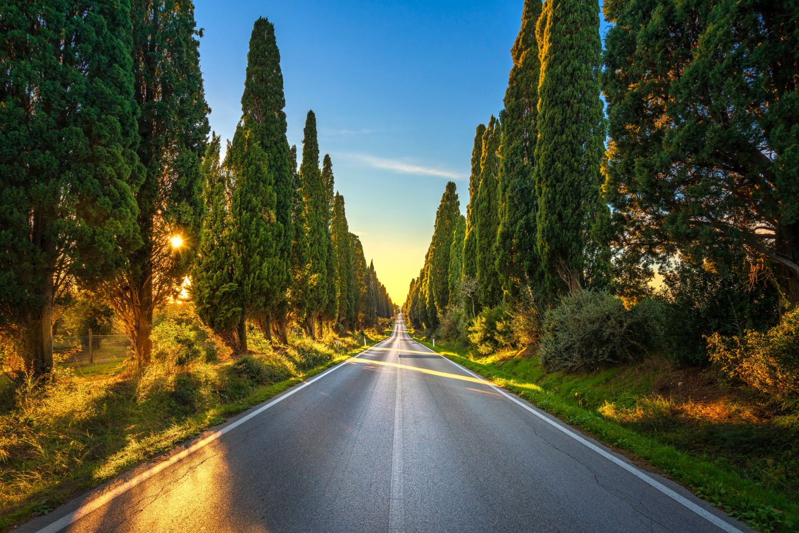 Viale dei Cipressi