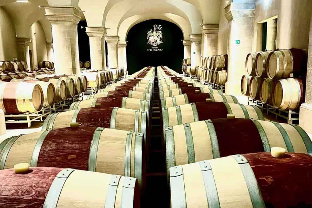 Bolgheri Wine Tour From Livorno