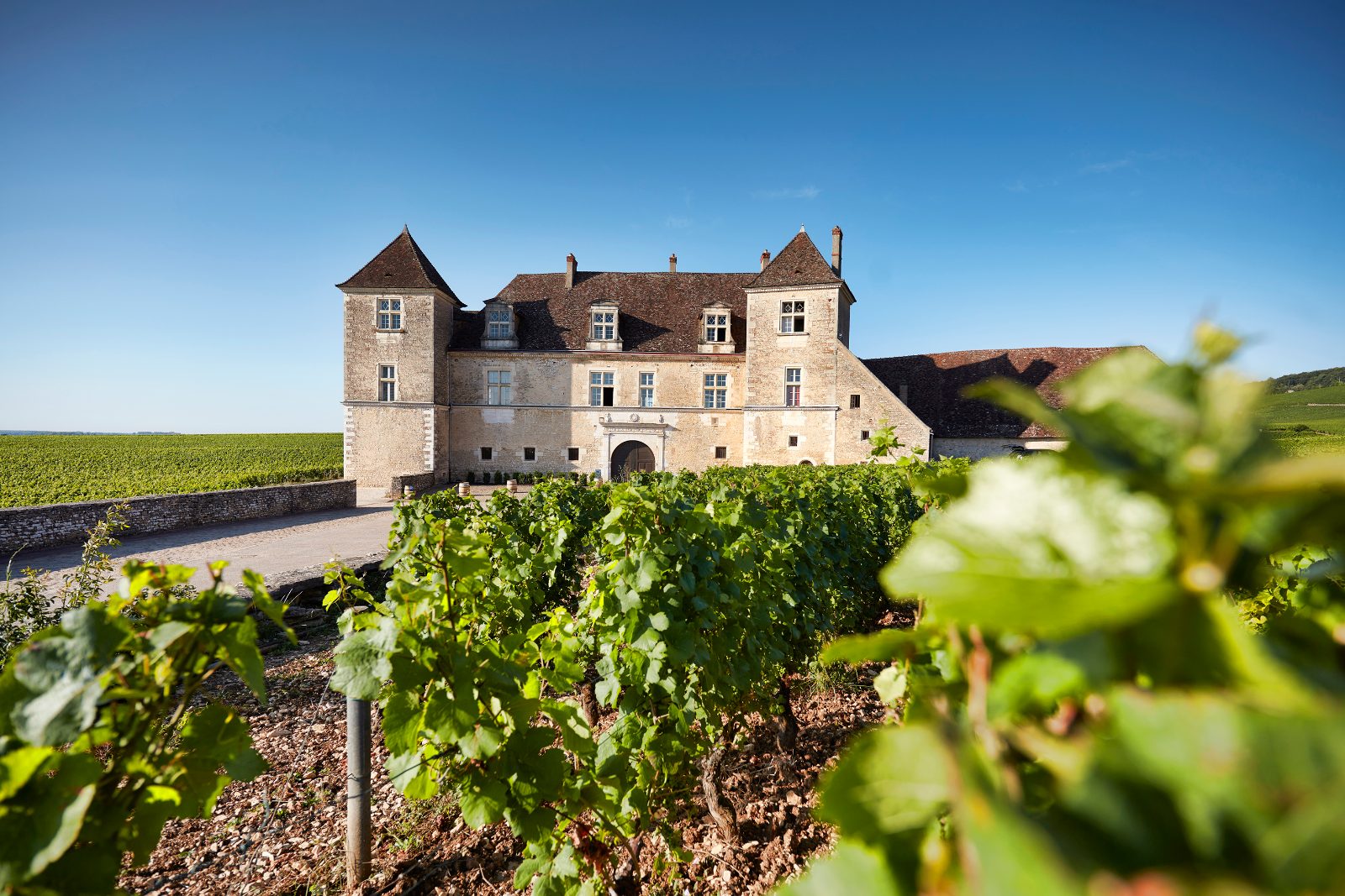 Château du Clos de Vougeot Terrace