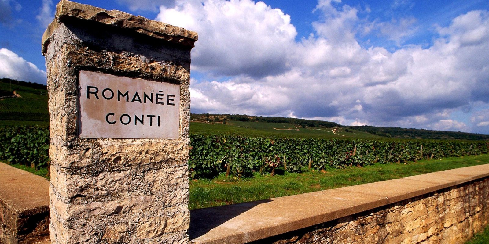 Romanée-Conti Vineyard