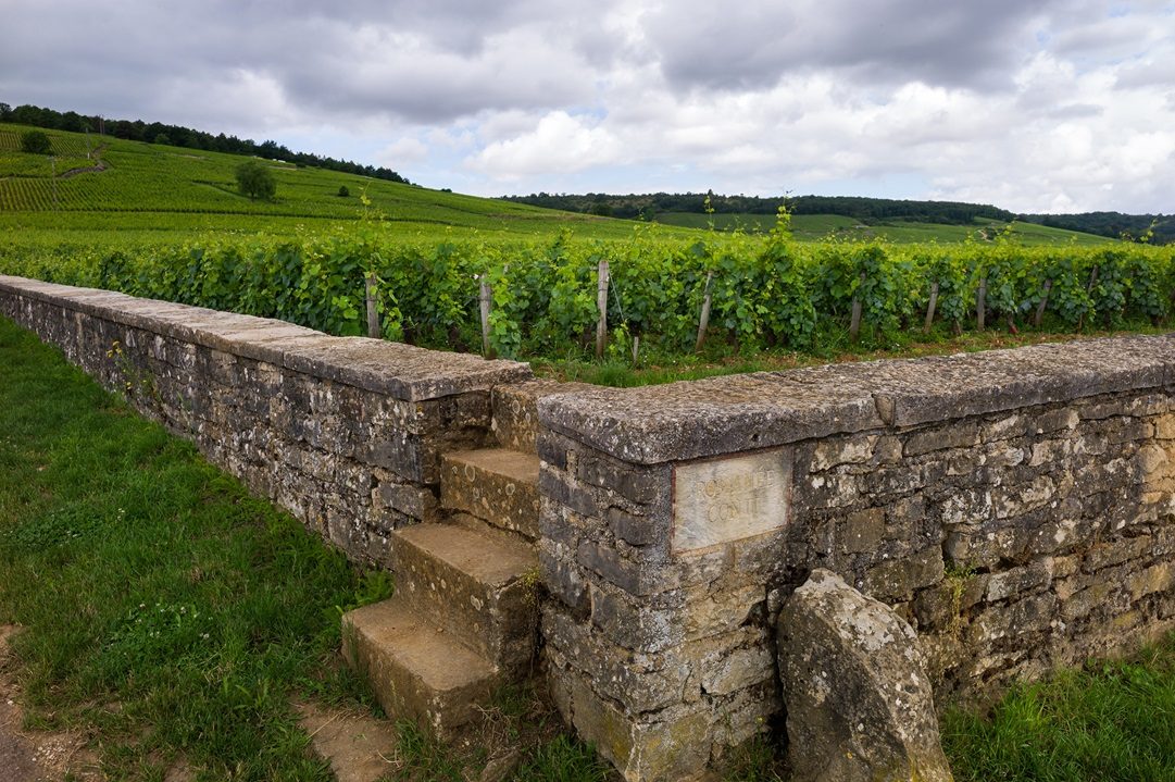 Romanée-Conti Vineyard Viewpoint