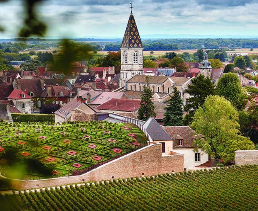 Nuits-Saint-Georges Cellars