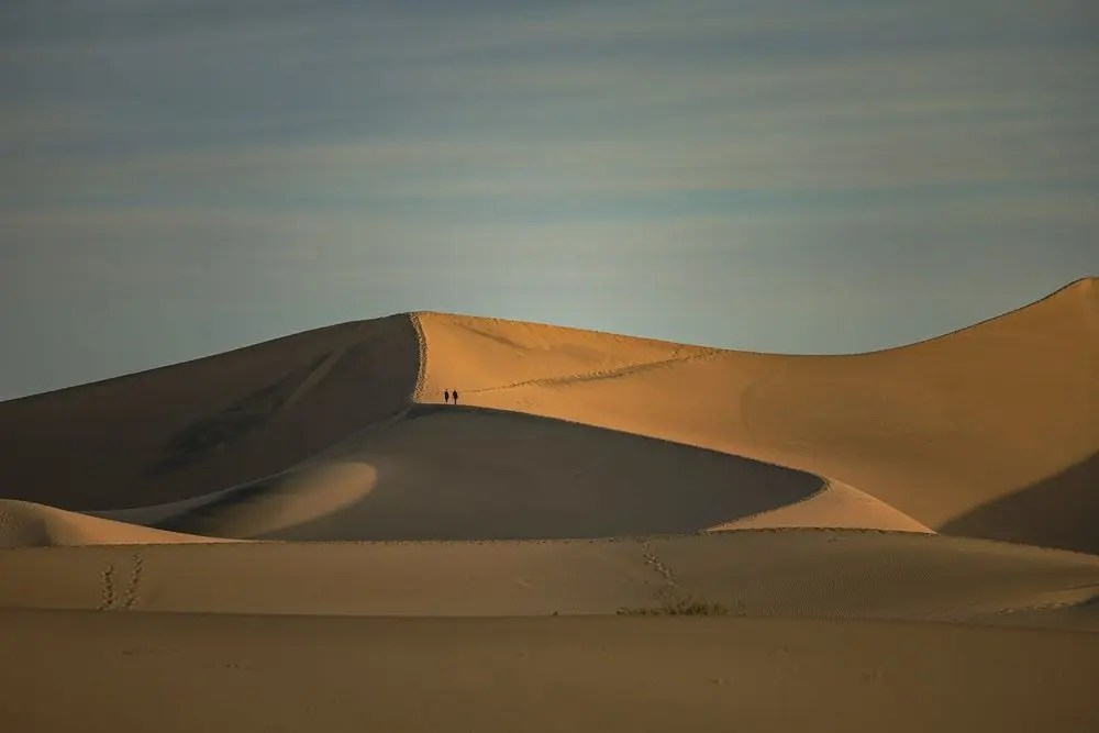 Dune Summit 7