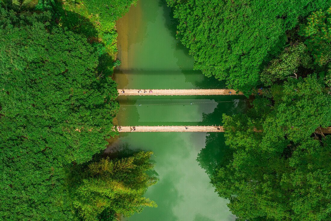 Historical Bridge Views