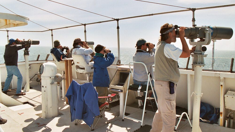 Starboard Observation Deck