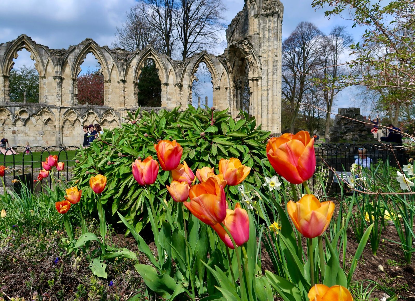 York Museum Gardens