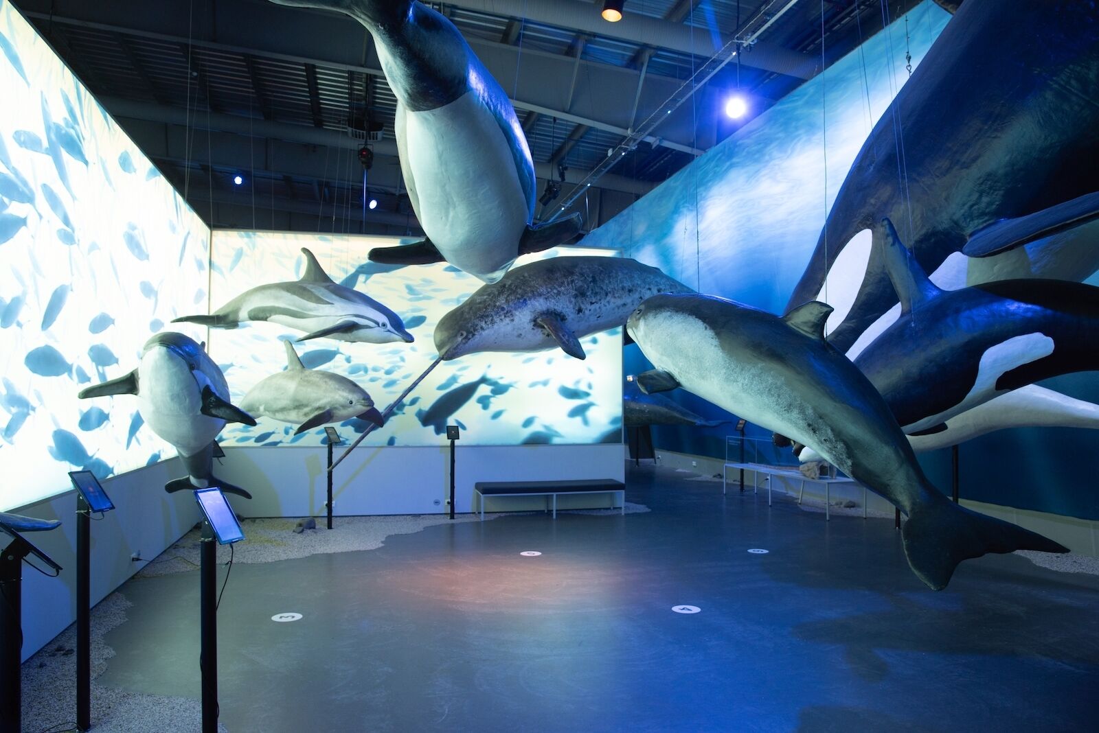 Marine Biology Gallery
